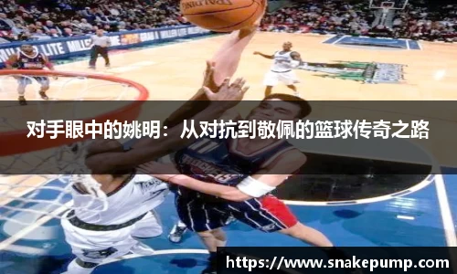 对手眼中的姚明：从对抗到敬佩的篮球传奇之路