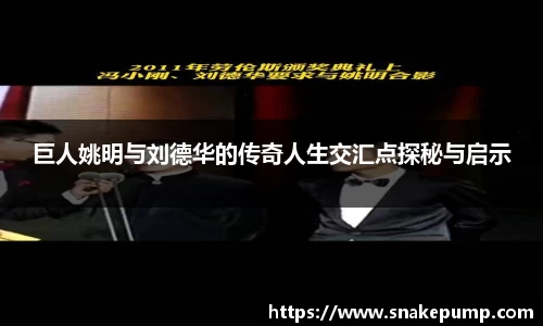 巨人姚明与刘德华的传奇人生交汇点探秘与启示