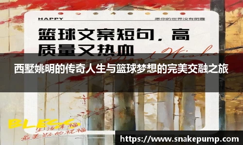 西墅姚明的传奇人生与篮球梦想的完美交融之旅