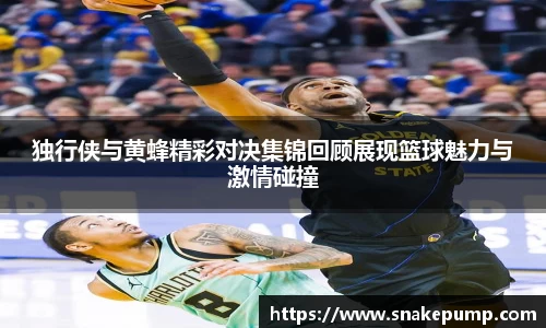 独行侠与黄蜂精彩对决集锦回顾展现篮球魅力与激情碰撞