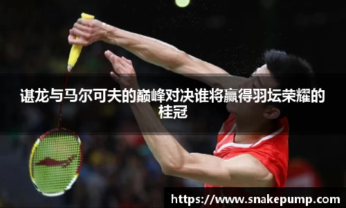 谌龙与马尔可夫的巅峰对决谁将赢得羽坛荣耀的桂冠