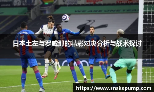 日本土左与罗威那的精彩对决分析与战术探讨