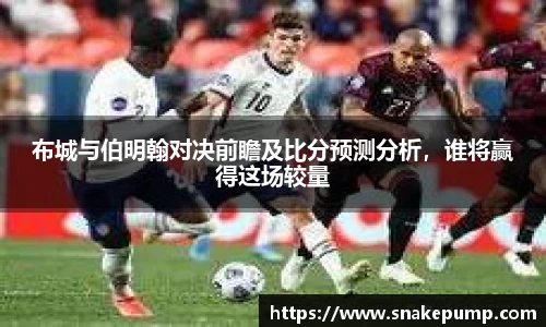布城与伯明翰对决前瞻及比分预测分析，谁将赢得这场较量