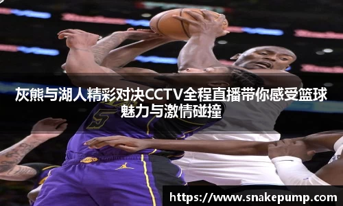 灰熊与湖人精彩对决CCTV全程直播带你感受篮球魅力与激情碰撞