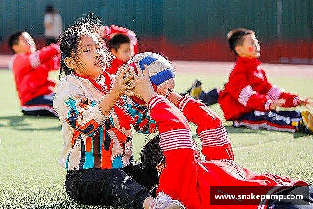 了解雷竞技官网